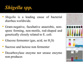 Food Microbiology and Food Contamination.pptx