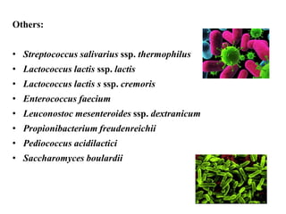Others:
• Streptococcus salivarius ssp. thermophilus
• Lactococcus lactis ssp. lactis
• Lactococcus lactis s ssp. cremoris
• Enterococcus faecium
• Leuconostoc mesenteroides ssp. dextranicum
• Propionibacterium freudenreichii
• Pediococcus acidilactici
• Saccharomyces boulardii
 