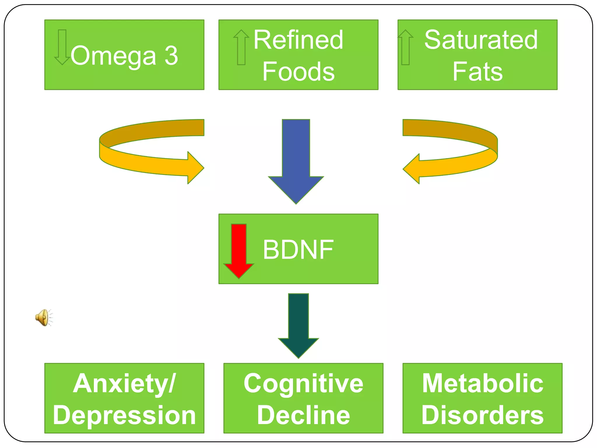 Omega 3

Refined
Foods

Saturated
Fats

BDNF

Anxiety/
Depression

Cognitive
Decline

Metabolic
Disorders

 