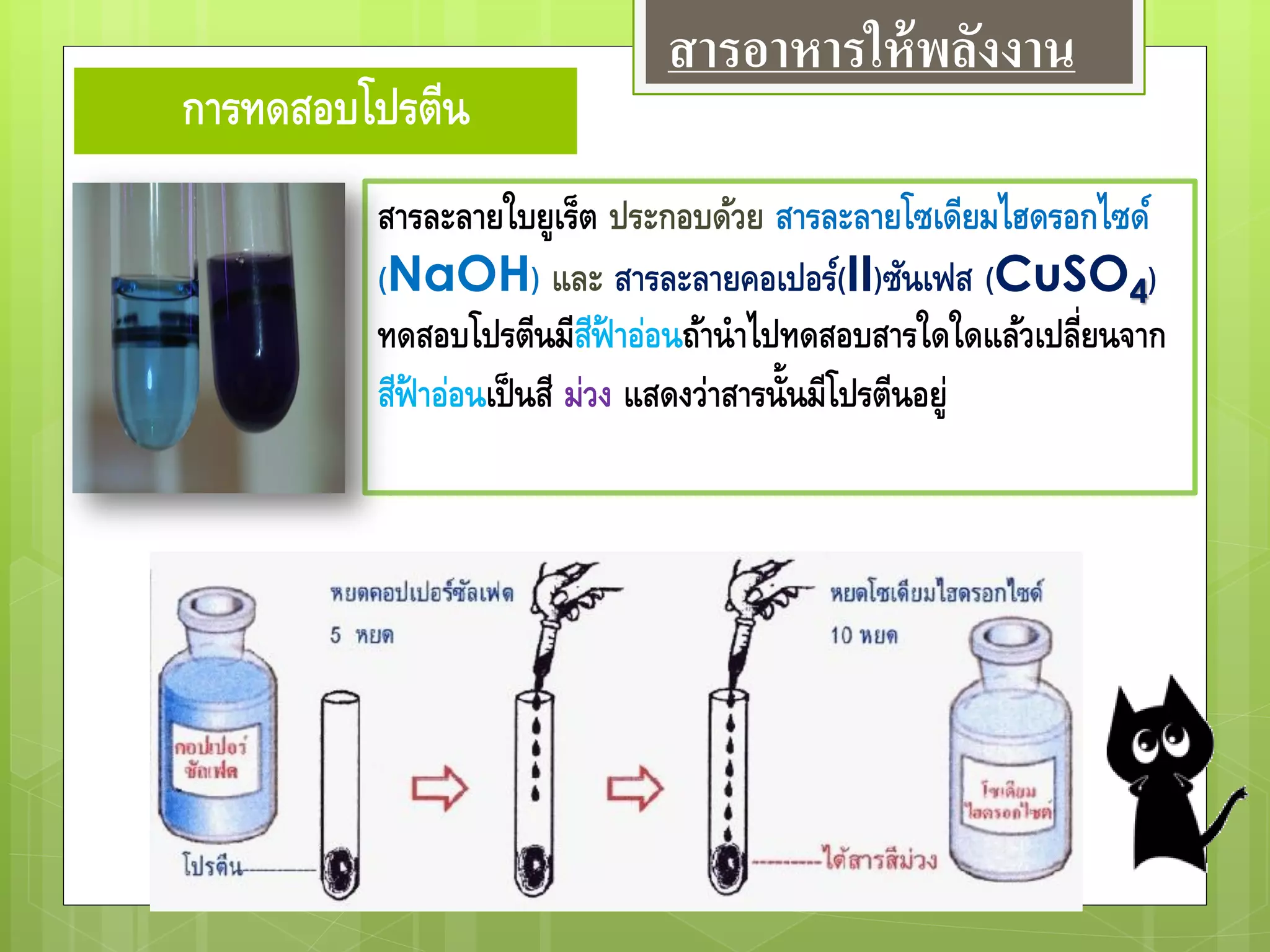 การทดสอบโปรตีน
สารละลายใบยูเร็ต ประกอบด้วย สารละลายโซเดียมไฮดรอกไซด์
(NaOH) และ สารละลายคอเปอร์(II)ซันเฟส (CuSO4)
ทดสอบโปรตีนมีสีฟ้ าอ่อนถ้านาไปทดสอบสารใดใดแล้วเปลี่ยนจาก
สีฟ้ าอ่อนเป็นสี ม่วง แสดงว่าสารนั้นมีโปรตีนอยู่
สารอาหารให้พลังงาน
 
