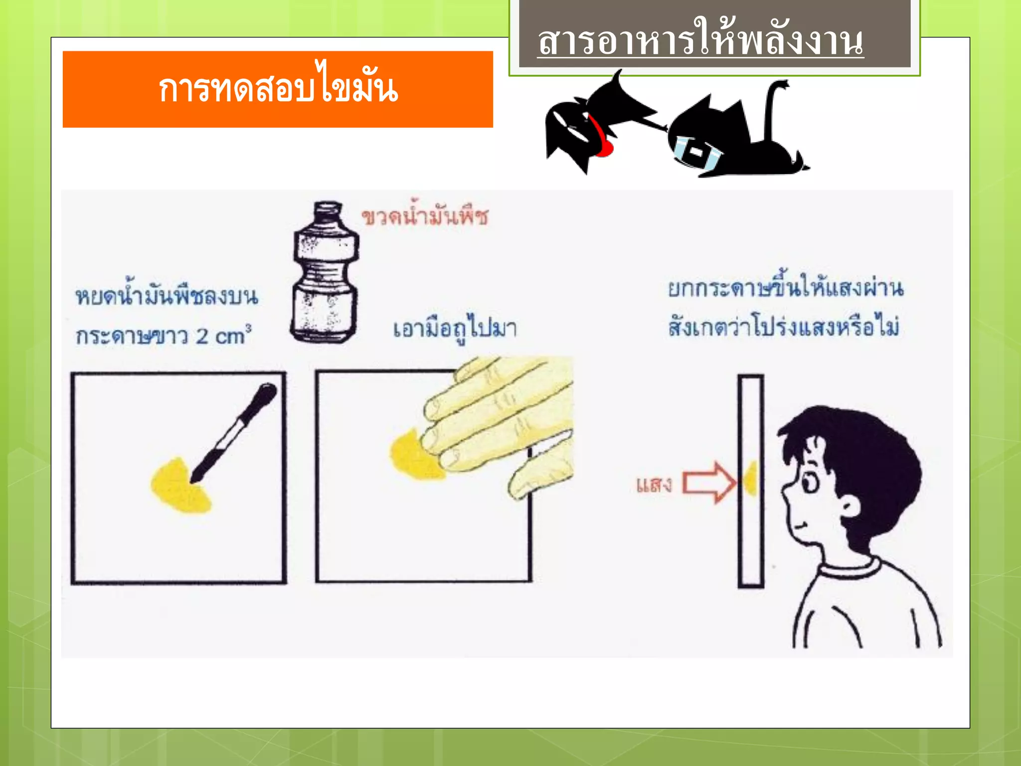 การทดสอบไขมัน
สารอาหารให้พลังงาน
 