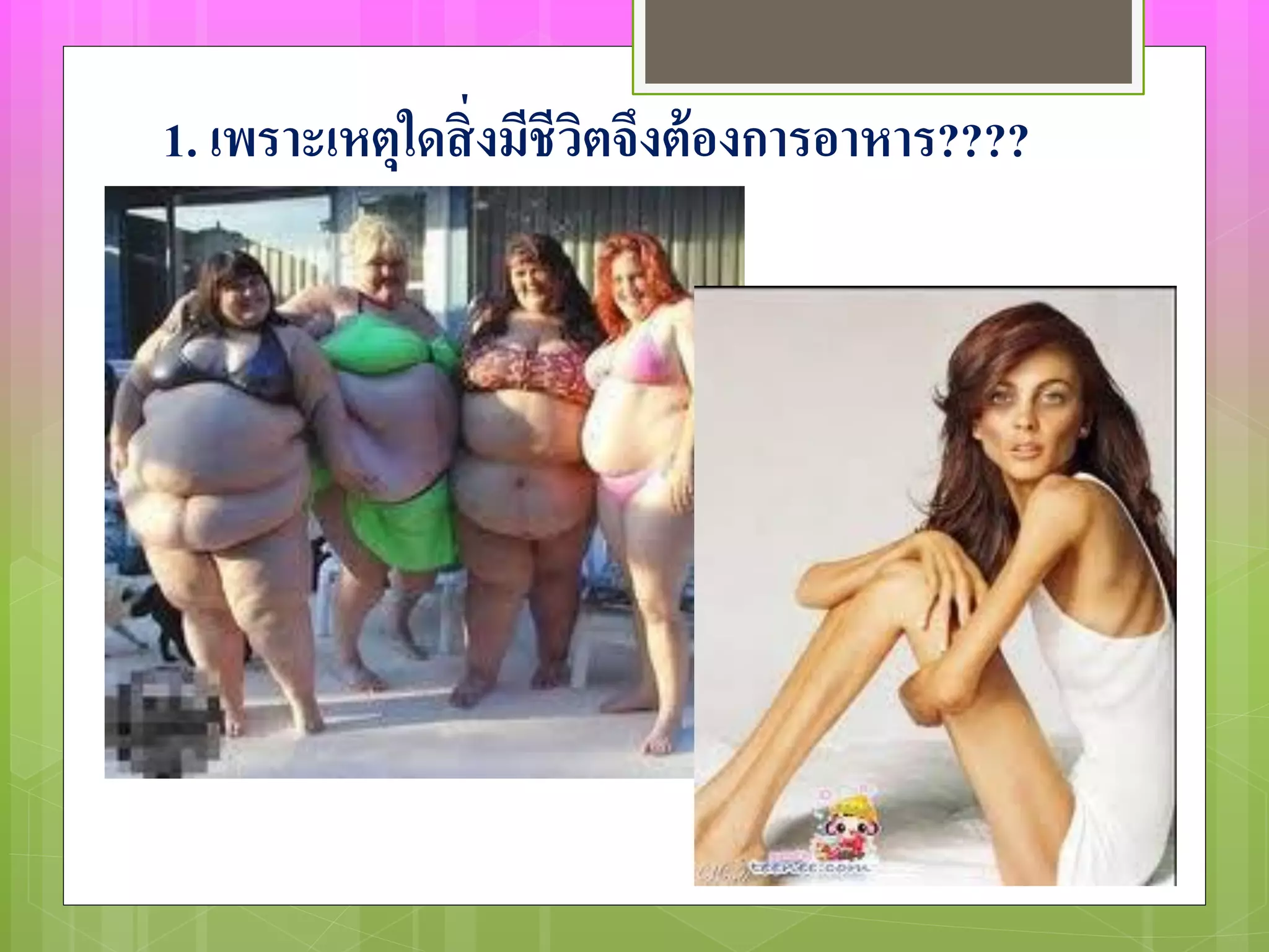 1. เพราะเหตุใดสิ่งมีชีวิตจึงต้องการอาหาร????
 