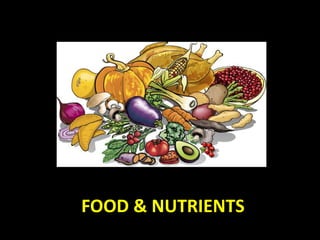 FOOD & NUTRIENTS
 