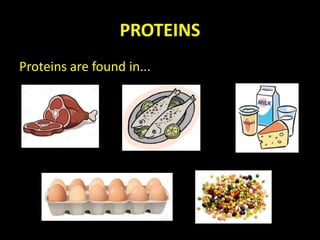 PROTEINS
Proteins are found in...
 
