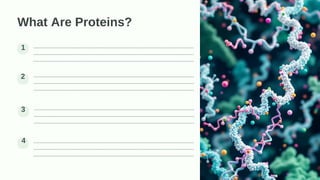 Protein Worksheet.pdf Food & Nutrition - Worksheet 01.pdf - Grade 7 and 8 | PDF