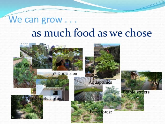 food oasis in the sonoran desert