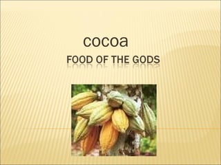 cocoa 
 
