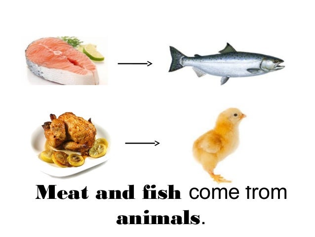 origins food food origin origins food food origin
