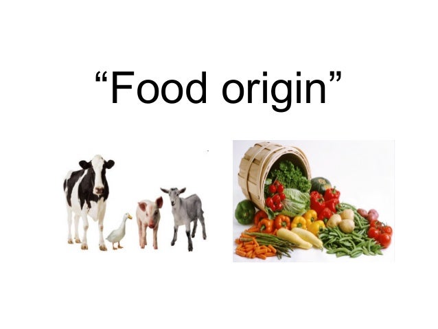 origins food food origin origins food food origin