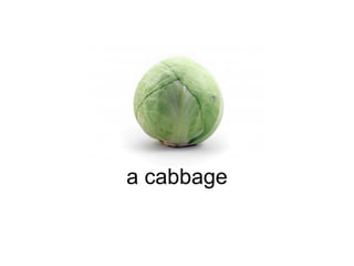 a cabbage 