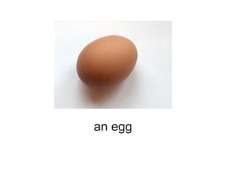 an egg 