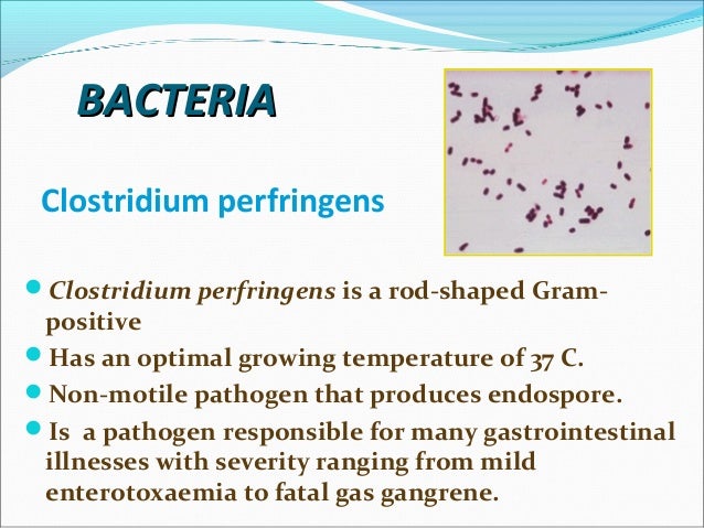Mild Food Poisoning Diarrhea Mild Food Poisoning Diarrhea