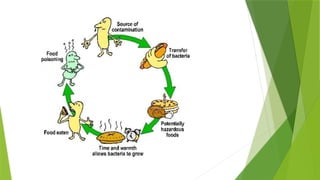 Food Intoxication Algorithm food poisoning and food intoxication.pptx