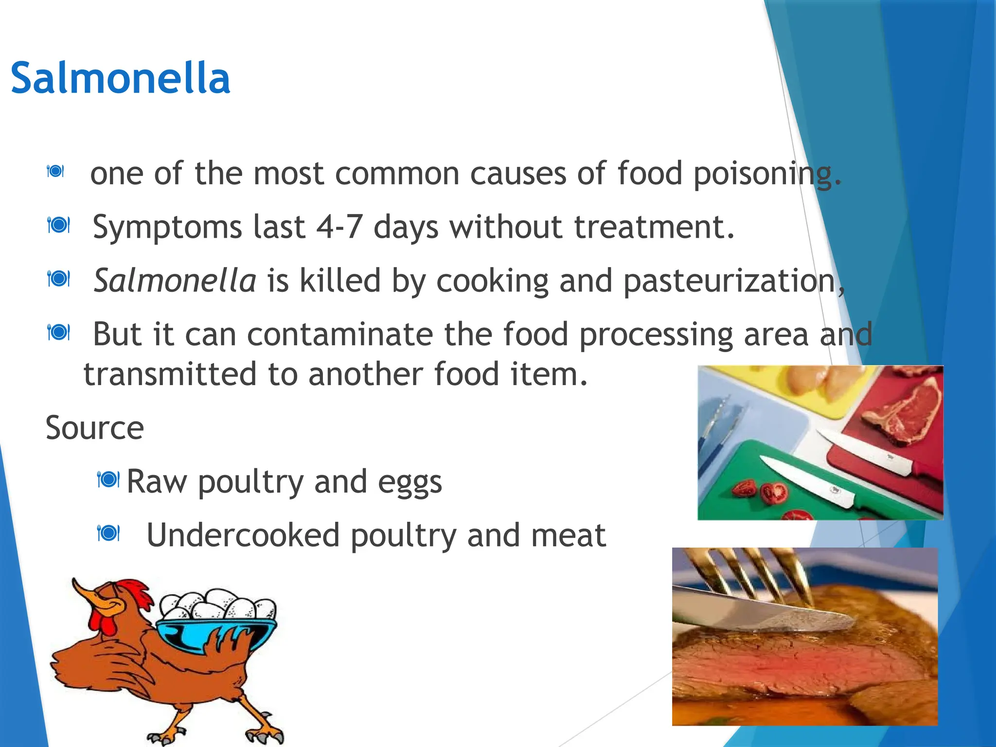 Can Salmonella Be Killed By Cooking
