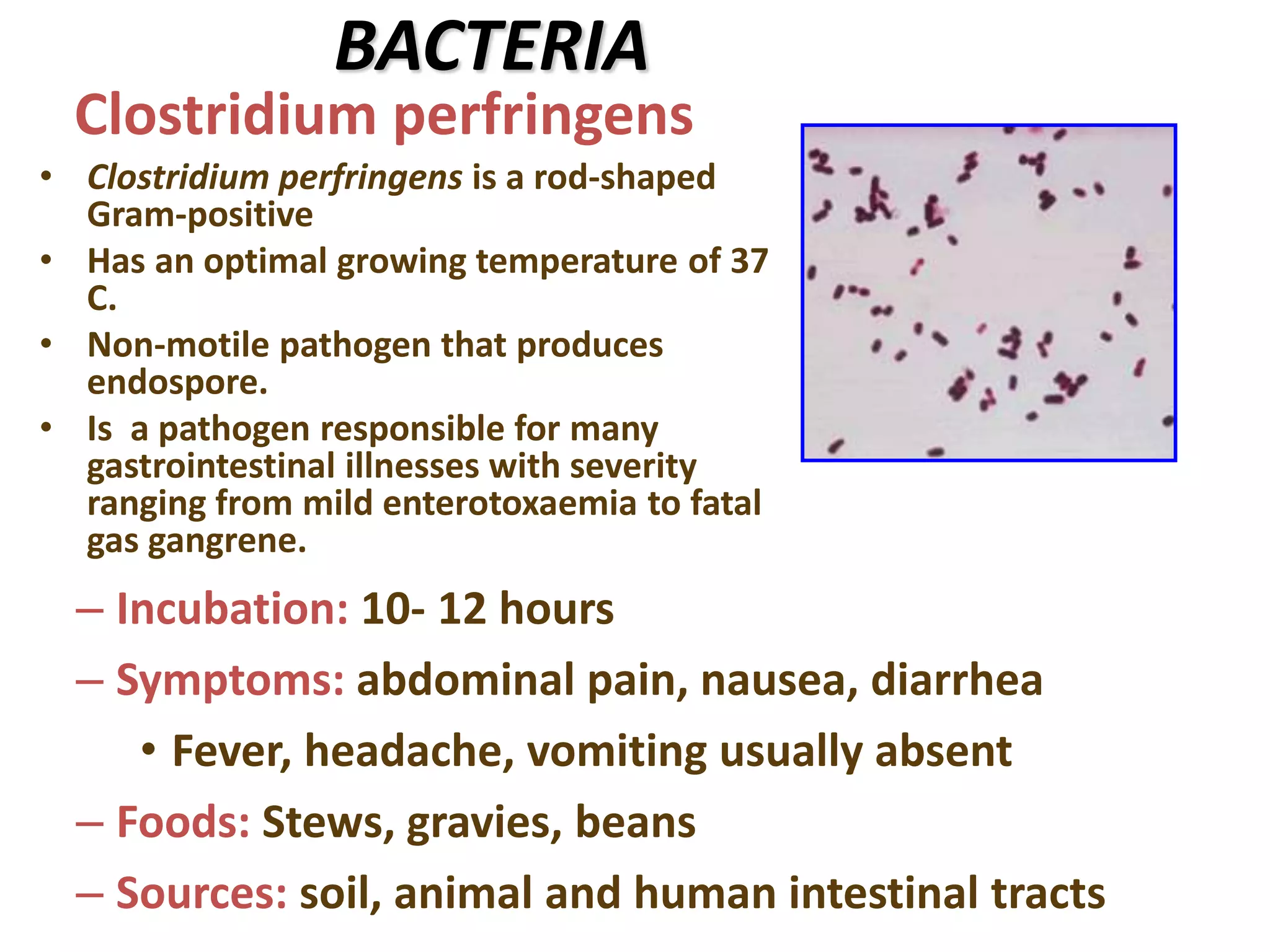 food-poisoning-pptx