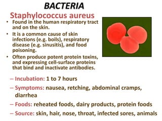 BACTERIA
• Found in the human respiratory tract
and on the skin.
• It is a common cause of skin
infections (e.g. boils), respiratory
disease (e.g. sinusitis), and food
poisoning.
• Often produce potent protein toxins,
and expressing cell-surface proteins
that bind and inactivate antibodies.
Staphylococcus aureus
– Incubation: 1 to 7 hours
– Symptoms: nausea, retching, abdominal cramps,
diarrhea
– Foods: reheated foods, dairy products, protein foods
– Source: skin, hair, nose, throat, infected sores, animals
 