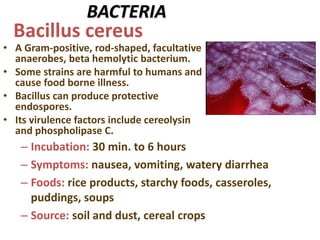 BACTERIA
• A Gram-positive, rod-shaped, facultative
anaerobes, beta hemolytic bacterium.
• Some strains are harmful to humans and
cause food borne illness.
• Bacillus can produce protective
endospores.
• Its virulence factors include cereolysin
and phospholipase C.
Bacillus cereus
– Incubation: 30 min. to 6 hours
– Symptoms: nausea, vomiting, watery diarrhea
– Foods: rice products, starchy foods, casseroles,
puddings, soups
– Source: soil and dust, cereal crops
 