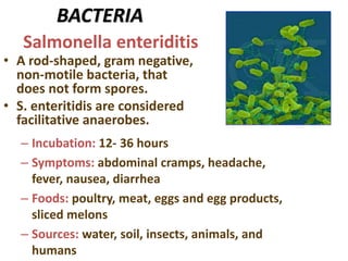 BACTERIA
• A rod-shaped, gram negative,
non-motile bacteria, that
does not form spores.
• S. enteritidis are considered
facilitative anaerobes.
Salmonella enteriditis
– Incubation: 12- 36 hours
– Symptoms: abdominal cramps, headache,
fever, nausea, diarrhea
– Foods: poultry, meat, eggs and egg products,
sliced melons
– Sources: water, soil, insects, animals, and
humans
 