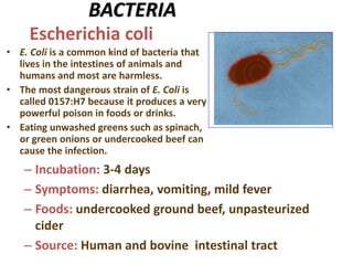 BACTERIA
• E. Coli is a common kind of bacteria that
lives in the intestines of animals and
humans and most are harmless.
• The most dangerous strain of E. Coli is
called 0157:H7 because it produces a very
powerful poison in foods or drinks.
• Eating unwashed greens such as spinach,
or green onions or undercooked beef can
cause the infection.
Escherichia coli
– Incubation: 3-4 days
– Symptoms: diarrhea, vomiting, mild fever
– Foods: undercooked ground beef, unpasteurized
cider
– Source: Human and bovine intestinal tract
 