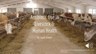 Antibiotic Use in
Livestock &
Human Health
By: Logan Cowart
Picture source: https://www.mspca.org/animal_protection/farm-animal-
welfare-cows/
 