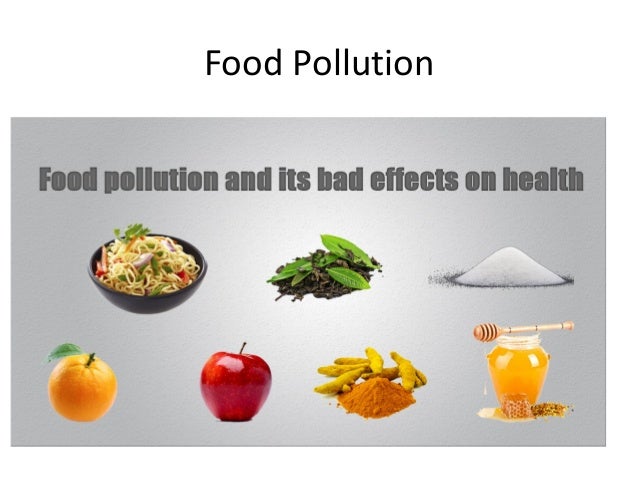 Food Pollution and its Bad Effects On Health Biology Diagrams