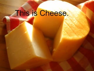 This is Cheese.

 