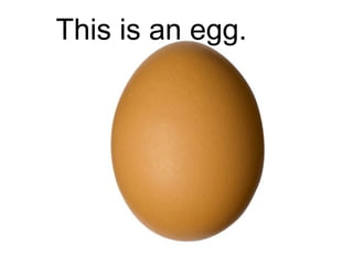 This is an egg.

 