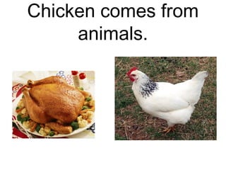 Chicken comes from
animals.

 
