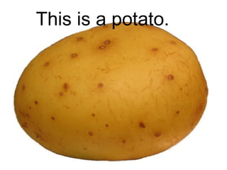 This is a potato.

 