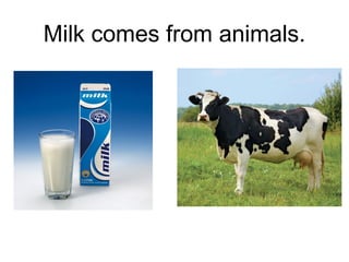 Milk comes from animals.

 
