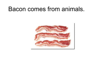Bacon comes from animals.

 