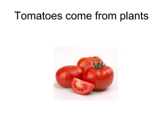 Tomatoes come from plants

 