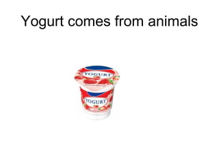 Yogurt comes from animals

 