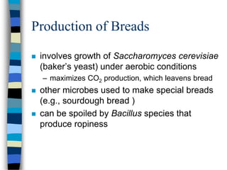 Production of Breads
 involves growth of Saccharomyces cerevisiae
(baker’s yeast) under aerobic conditions
– maximizes CO2 production, which leavens bread
 other microbes used to make special breads
(e.g., sourdough bread )
 can be spoiled by Bacillus species that
produce ropiness
 