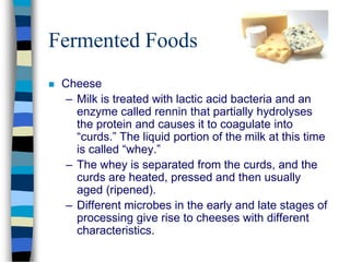 Fermented Foods
 Cheese
– Milk is treated with lactic acid bacteria and an
enzyme called rennin that partially hydrolyses
the protein and causes it to coagulate into
“curds.” The liquid portion of the milk at this time
is called “whey.”
– The whey is separated from the curds, and the
curds are heated, pressed and then usually
aged (ripened).
– Different microbes in the early and late stages of
processing give rise to cheeses with different
characteristics.
 