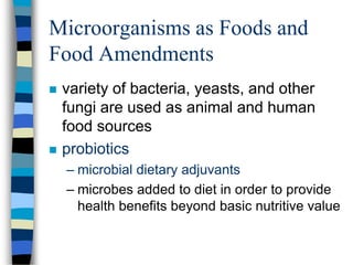 Microorganisms as Foods and
Food Amendments
 variety of bacteria, yeasts, and other
fungi are used as animal and human
food sources
 probiotics
– microbial dietary adjuvants
– microbes added to diet in order to provide
health benefits beyond basic nutritive value
 
