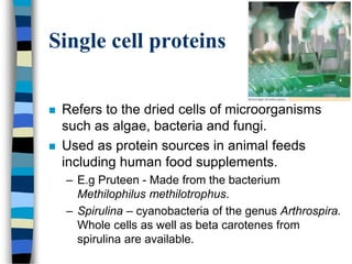 Single cell proteins
 Refers to the dried cells of microorganisms
such as algae, bacteria and fungi.
 Used as protein sources in animal feeds
including human food supplements.
– E.g Pruteen - Made from the bacterium
Methilophilus methilotrophus.
– Spirulina – cyanobacteria of the genus Arthrospira.
Whole cells as well as beta carotenes from
spirulina are available.
 