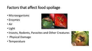 Food Preservation.pptx