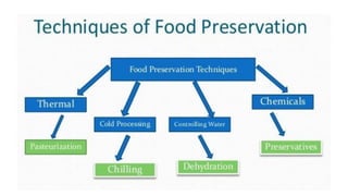 Food Preservation Pdf