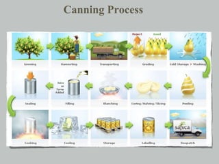 Canning Process
 