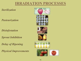 Sterilization
Pasteurization
Disinfestation
Sprout Inhibition
Delay of Ripening
Physical Improvements
75
IRRADIATION PROCESSES
 