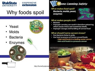 Why foods spoil

•   Yeast
•   Molds
•   Bacteria
•   Enzymes




               http://homefoodpreservation.usu.edu   7
 