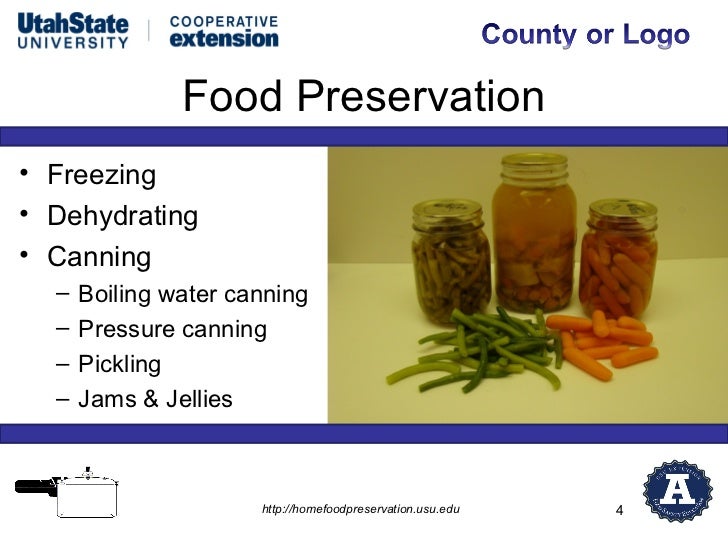 Food preservation presentation