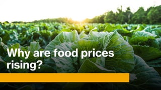 Why are food prices
rising?
 