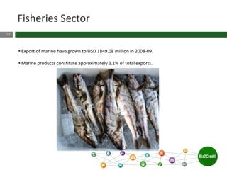 15
Fisheries Sector
• Export of marine have grown to USD 1849.08 million in 2008-09.
• Marine products constitute approximately 1.1% of total exports.
 