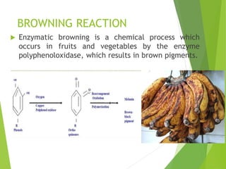FOOD PROCESSING.pptx