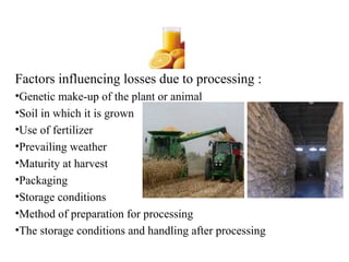 Factors influencing losses due to processing :
•Genetic make-up of the plant or animal
•Soil in which it is grown
•Use of fertilizer
•Prevailing weather
•Maturity at harvest
•Packaging
•Storage conditions
•Method of preparation for processing
•The storage conditions and handling after processing
 