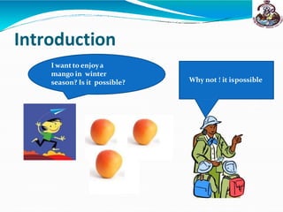 Introduction
I want to enjoya
mango in winter
season? Is it possible? Why not ! it ispossible
 