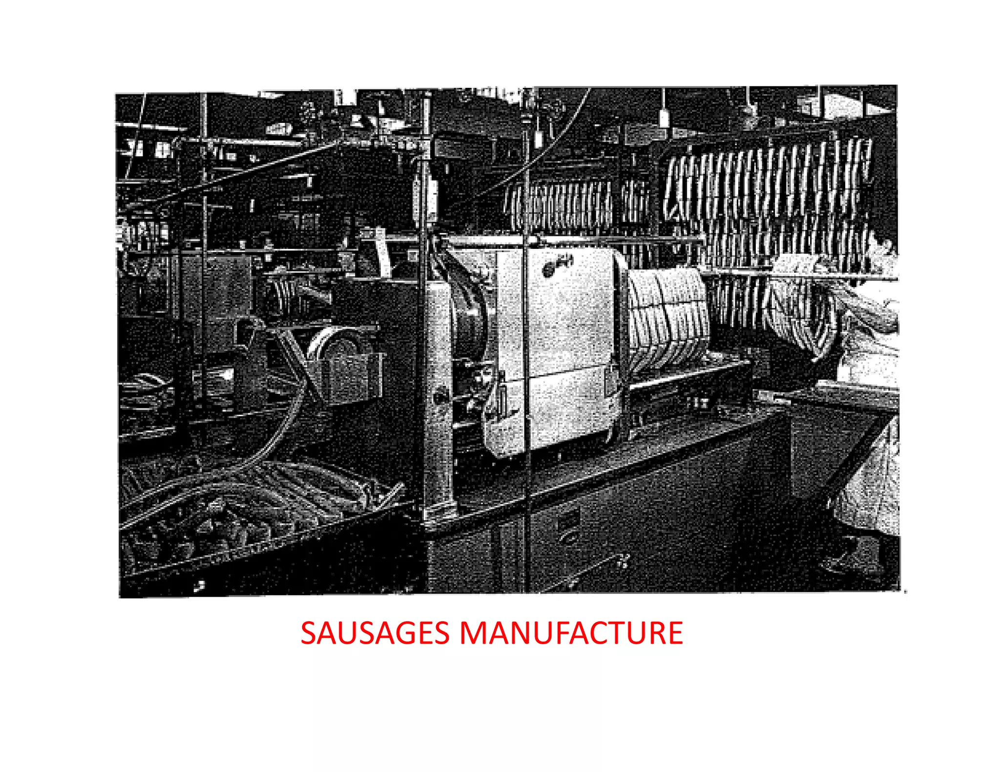 SAUSAGES MANUFACTURE
 