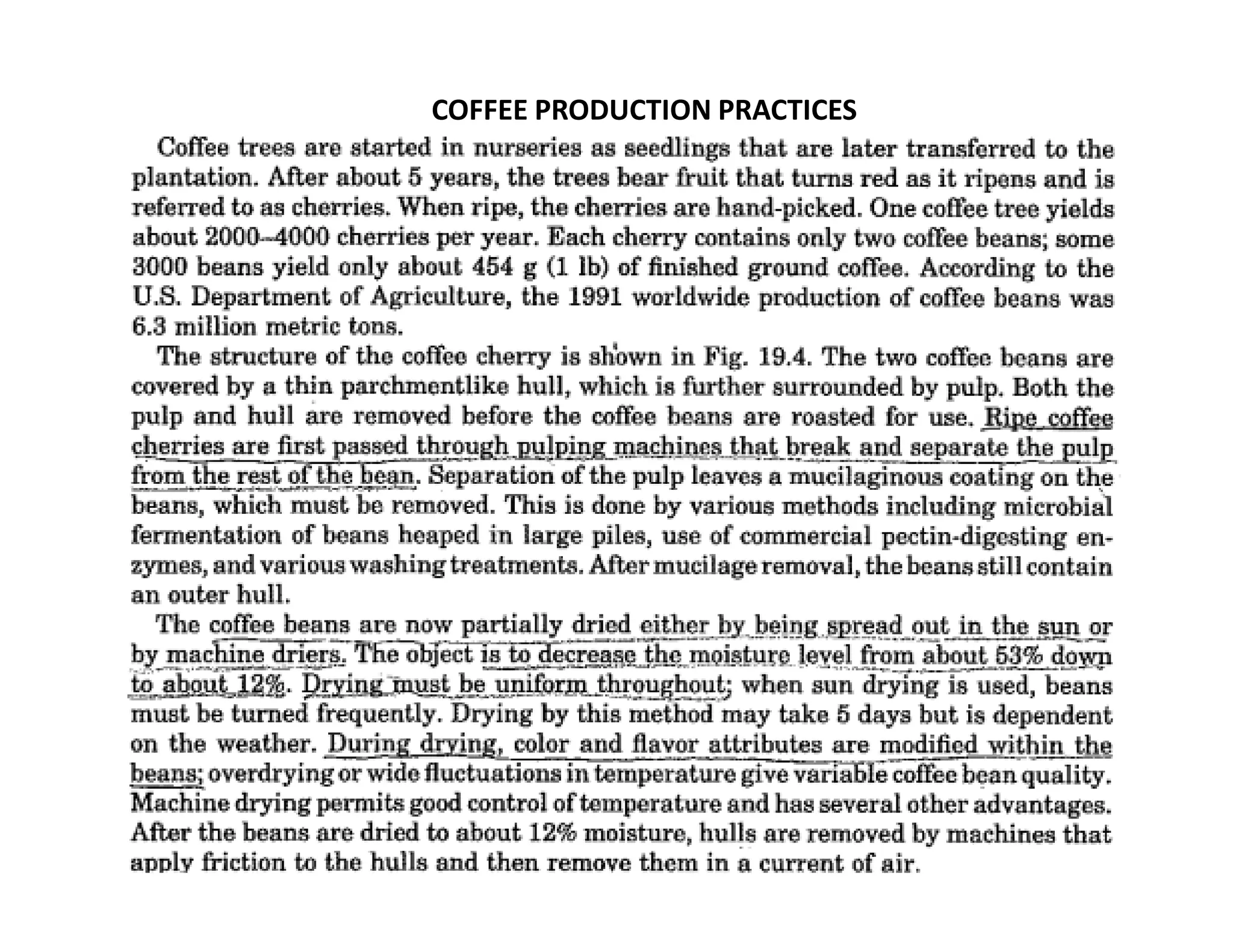 COFFEE PRODUCTION PRACTICES
 